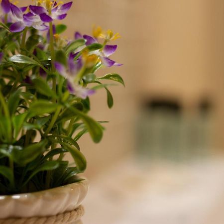Suite Corallo - Smart Holiday Mantova Ngoại thất bức ảnh